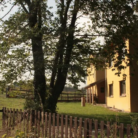 Im Gruenen Morbach
